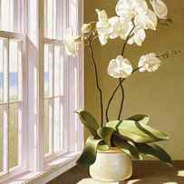 Pot Of Orchids by Zhen-huan Lu