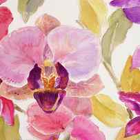 Radiant Orchid Ii by Lanie Loreth