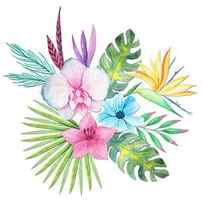 Tropical Watercolor Bouquet 3 by Elaine Plesser