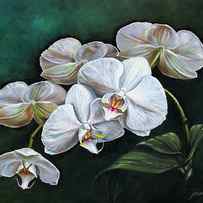 WHITE ORCHIDS by Joan Garcia