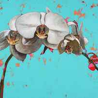 Orchids #5 by David Palmer