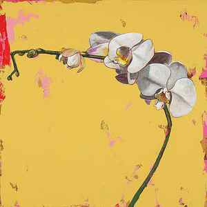 Wall Art - Painting - Orchids #3 by David Palmer