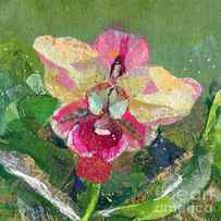 Dancing Orchid I by Shadia Derbyshire