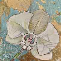 Gilded Orchid I by Shadia Derbyshire