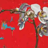 Orchids #1 by David Palmer