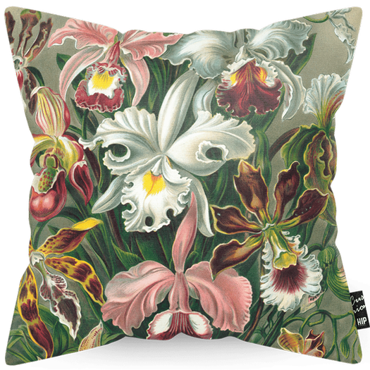 Cushion with Orchid.