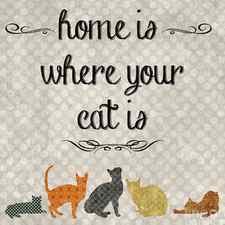 Home Is Where Your Cat Is-JP3040 by Jean Plout