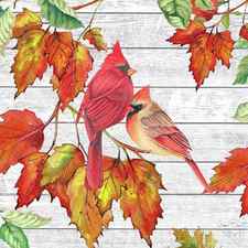 Fall Cardinals B by Jean Plout