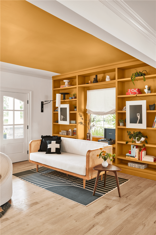 Orange bookcase in living room