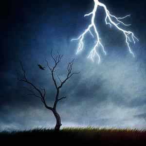 Wall Art - Photograph - Lightning Tree by Sebastien Del Grosso