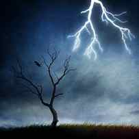 Lightning Tree by Sebastien Del Grosso