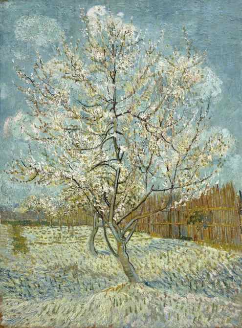 Vincent van Gogh (1853–1890), The Pink Peach Tree (1888), oil on canvas, 80.5 x 59 cm, Van Gogh Museum, Amsterdam. Wikimedia Commons.