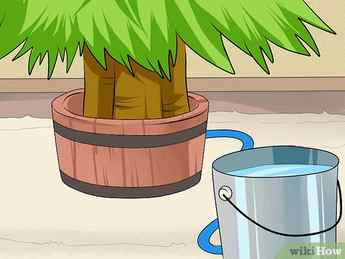 Step 2 Keep your tree stand full of water.