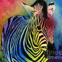 Rainbow Zebra by Hailey E Herrera