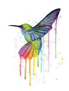 Wall Art - Painting - Hummingbird of Watercolor Rainbow by Olga Shvartsur