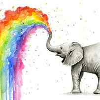 Baby Elephant Spraying Rainbow by Olga Shvartsur