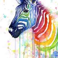Rainbow Zebra - Ode to Fruit Stripes by Olga Shvartsur
