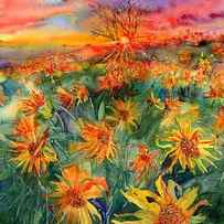 Sunflower Fields by Suzann Sines