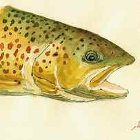 Trout watercolor painting by Juan Bosco