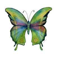 11 Prism Butterfly by Amy Kirkpatrick
