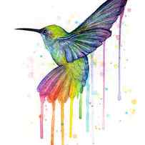 Hummingbird of Watercolor Rainbow by Olga Shvartsur