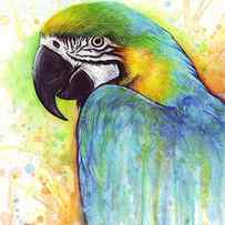 Macaw Painting by Olga Shvartsur