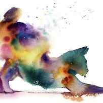 Rainbow cat by Sophia Rodionov