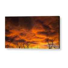 Red Sky at Night Acrylic Print by Elle Arden Walby