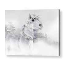 Out of the Mist Acrylic Print by Elle Arden Walby