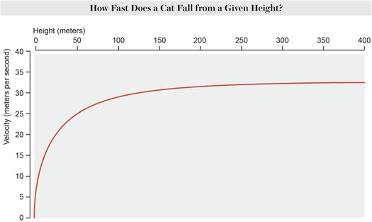 Figure showing the height at which a cat reaches its terminal velocity.