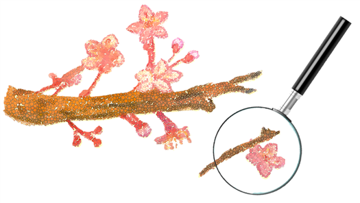 Illustration of a magnifying glass looking at a broken cherry blossom branch