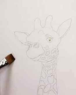 Draw your giraffe