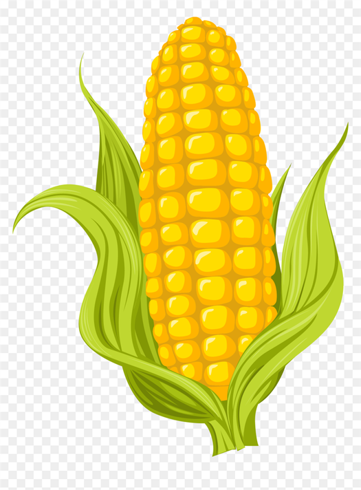 Drawing Corn Images Free Download on Freepik