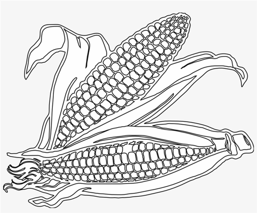1 The maize plant IITA 2007 Download Scientific Diagram