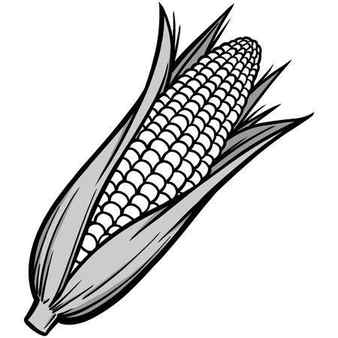 Corn Outline Images Free Download on Freepik