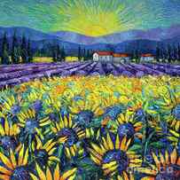 MAGIC OF PROVENCE - Sunflowers and Lavender - Palette knife painting Mona Edulesco by Mona Edulesco