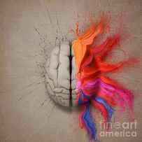 The Creative Brain by Johan Swanepoel