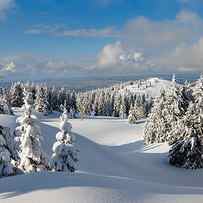 Beautiful Snowy Landscape firs by Godin Stephane