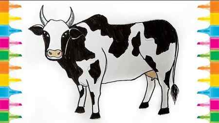 Simple & Easy Cow Drawing For Kids