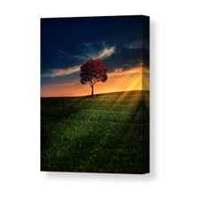 Awesome Solitude Canvas Print / Canvas Art by Bess Hamiti