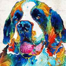 Colorful Saint Bernard Dog by Sharon Cummings by Sharon Cummings