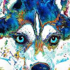 Colorful Husky Dog Art by Sharon Cummings by Sharon Cummings
