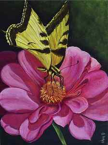 Wall Art - Painting - Butterfly on a pink daisy by Silvia Philippsohn