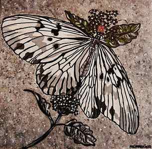 Wall Art - Painting - Butterfly Delight by Celeste Manning