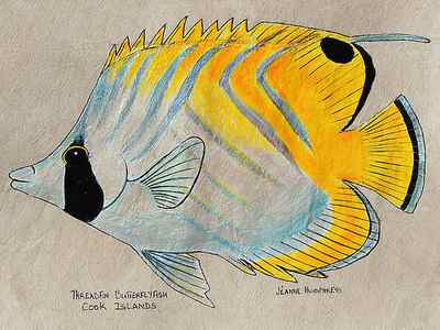 Wall Art - Painting - Threadfin Butterfly Fish by Jeanne Washington Tudor-Collins