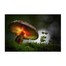 Mushroom fairy tale fantasy Art Print by Dirk Ercken