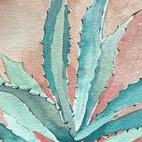 Agave by Luisa Millicent