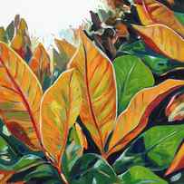Tropical Leaves by Andy Beauchamp