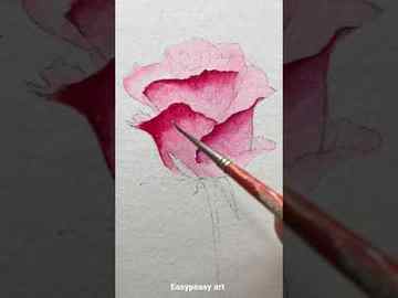 How to paint rosewatercolour rose painting for beginnersYoutubeshorts shorts