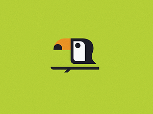 Toucan adobe illustrator animal bird digital art illustration illustrator cc toucan tropical bird vector